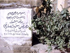 مصطفى الصاوي (11).jpg