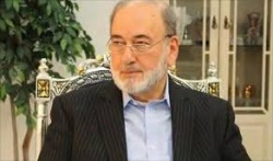 محمد حكمت وليد (21).jpg