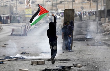 الانتفاضة بالضفة 10.jpg