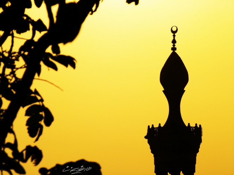 ملف:المعاهد الديني.jpg