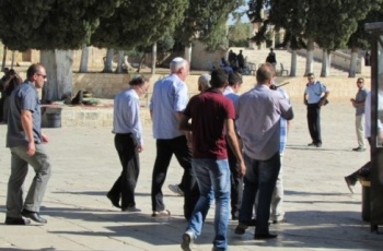 صهاينة يقتحمون الأقصي.jpg