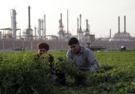 في محاولة فهم الشعب.jpg