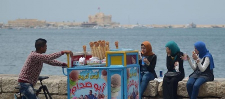 عن بطيخ ميار ولماذا يكره.jpg