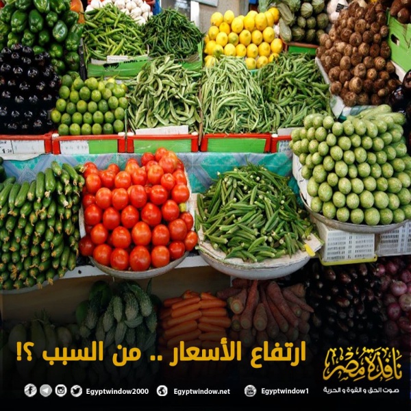 ملف:هذا ما قاله الم.jpg