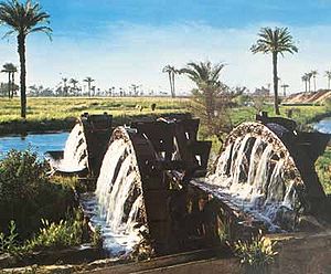 سواقى الفيوم.jpg